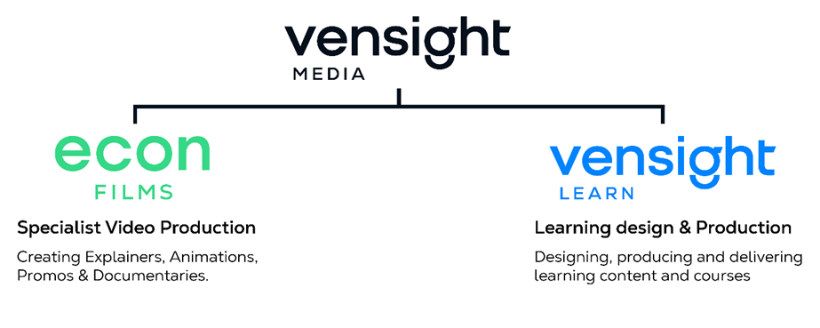 Vensight company diagram